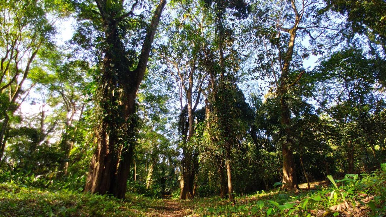 Gran Gavilan Del Sarapiqui Lodge Exterior photo