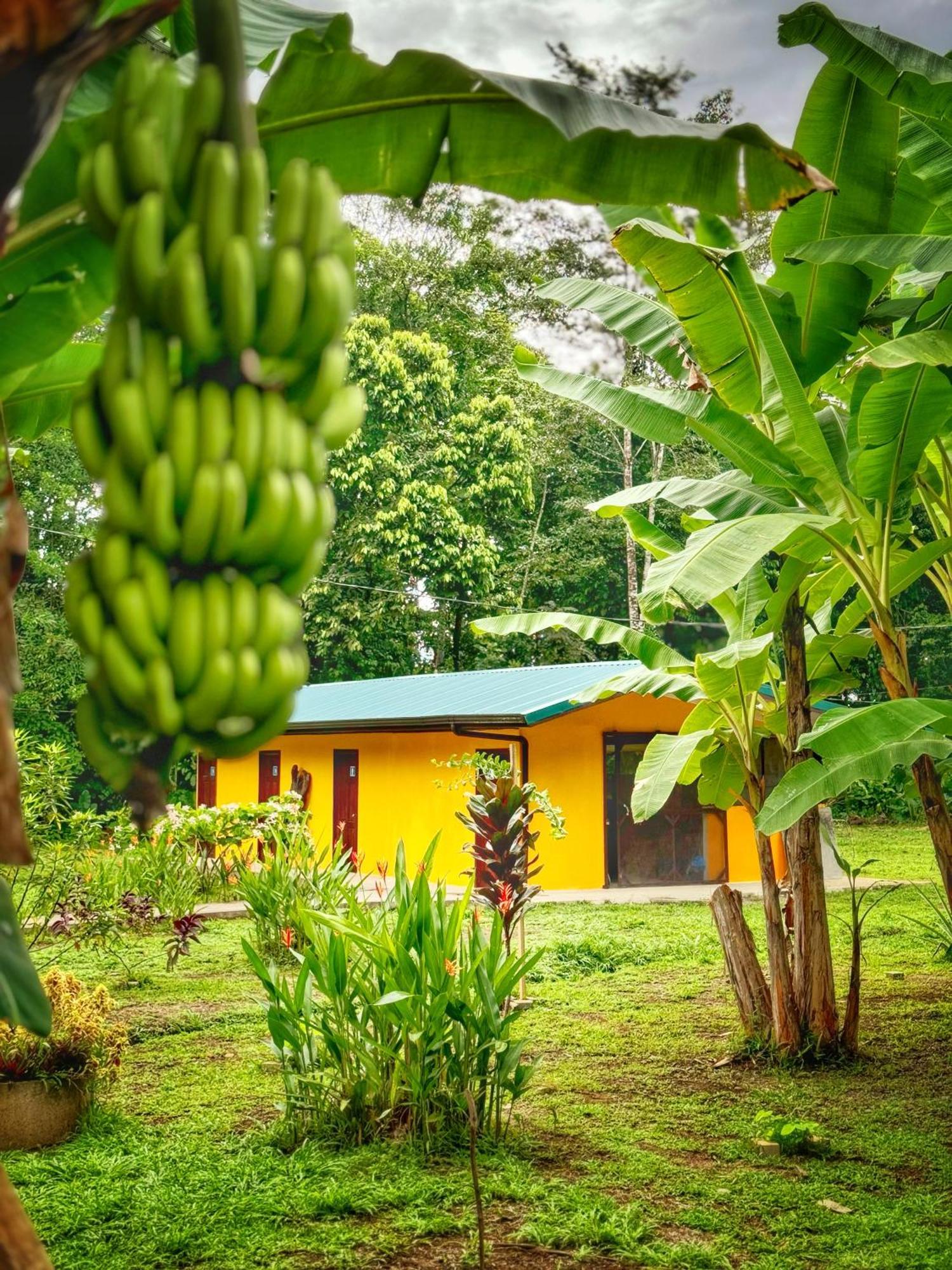 Gran Gavilan Del Sarapiqui Lodge Exterior photo